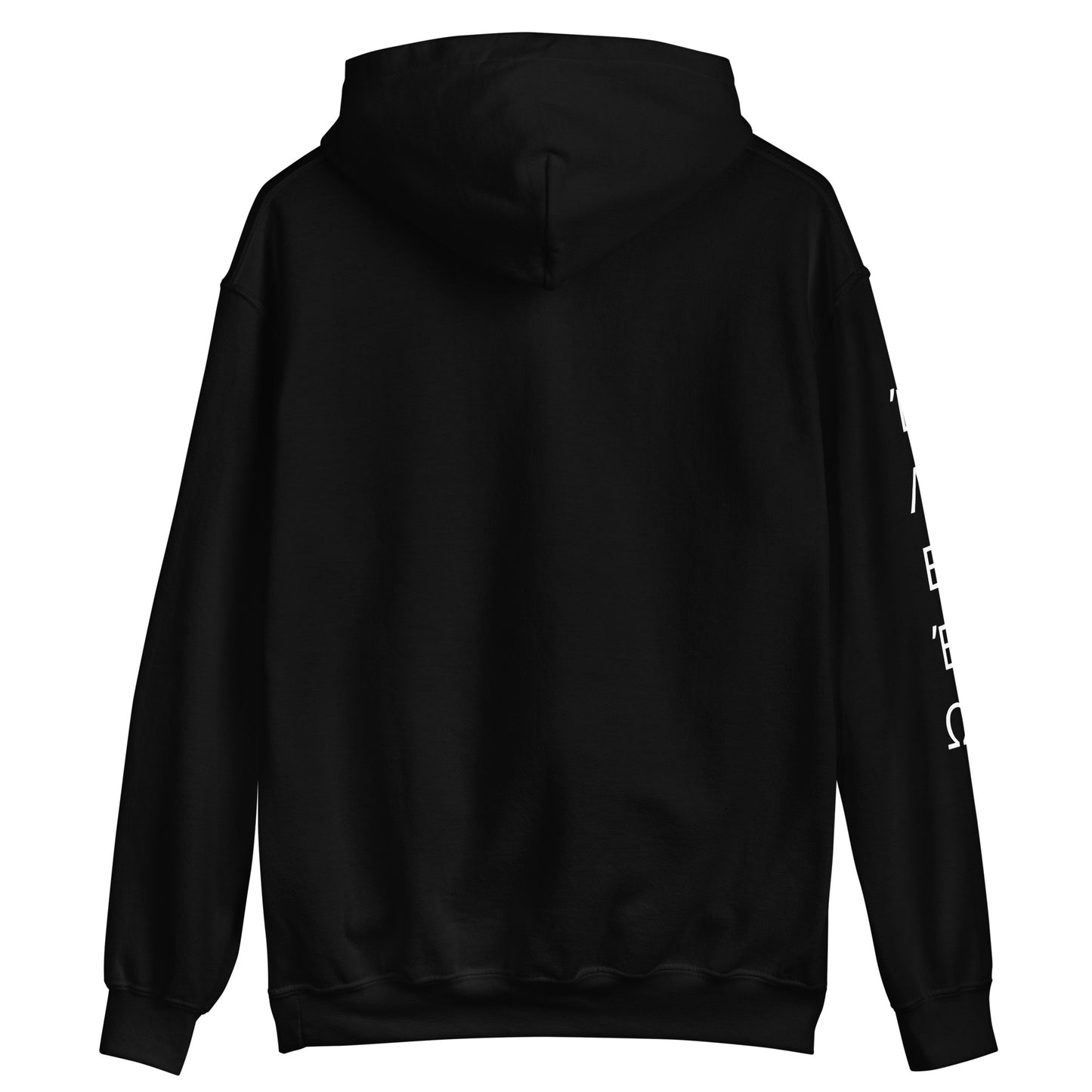 Joshua 24:15 Hoodie